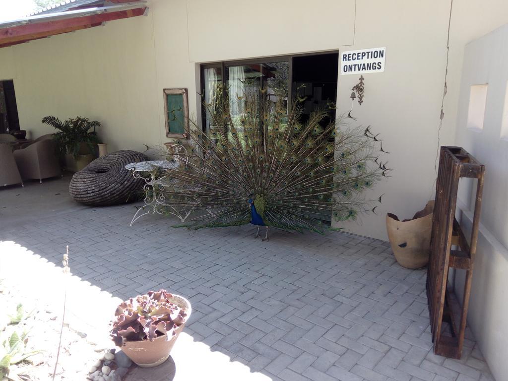 Xain Quaz Camp Hotel Gobabis Eksteriør billede